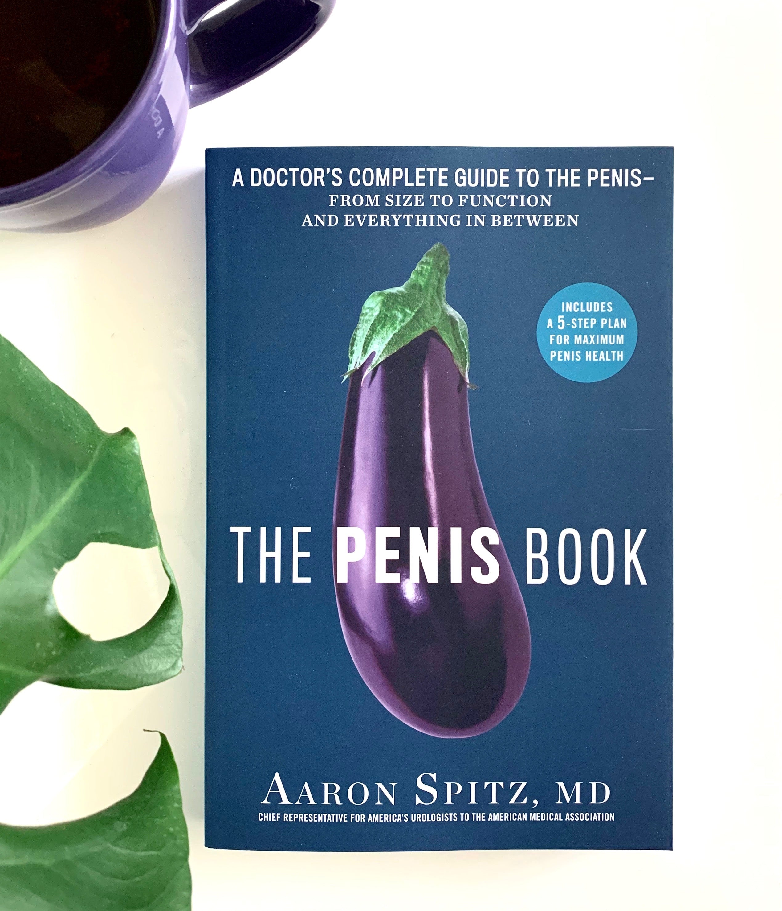 The Penis Book by Aaron Spitz