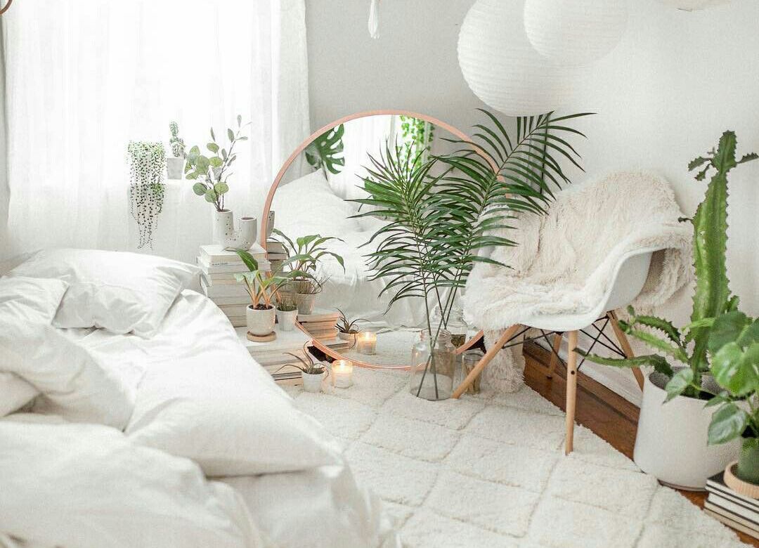 Les meilleures plantes pour votre chambre à coucher – Mello