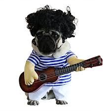 Dog Plays The Guitar Halloween Christmas Special Events Costume