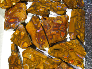 1300cts Australien Roh/rough Yowah Nut Nüsse Boulder Matrix Opale Picture Stones