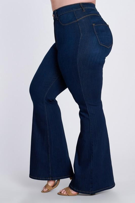 Raleigh Wide Flare Jeans Curvy