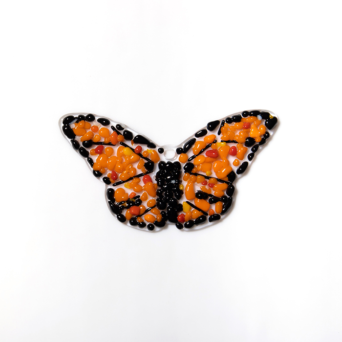 Monarch Butterfly Kit  Glassroom Online Store