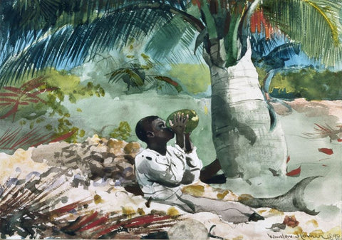 On a hot, sunny, tropical day, a young black boy wearing white clothing or possibly his school uniform sits contentedly in the shade beneath a short palm tree and drinks the fresh water from a green coconut.