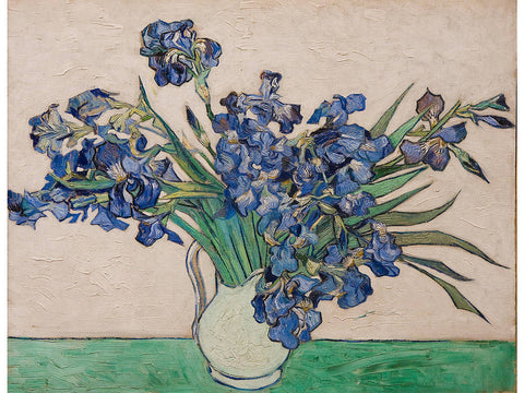 A hastily cut bunch of garden fresh purple-blue irises sprawls from a round white porcelain vase on a green table