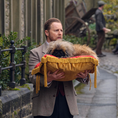 Samuel West as Siegfried Farnon on All Creatures Great and Small