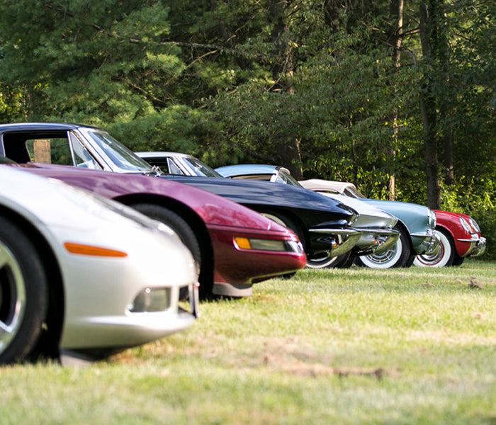 Line of Corvettes