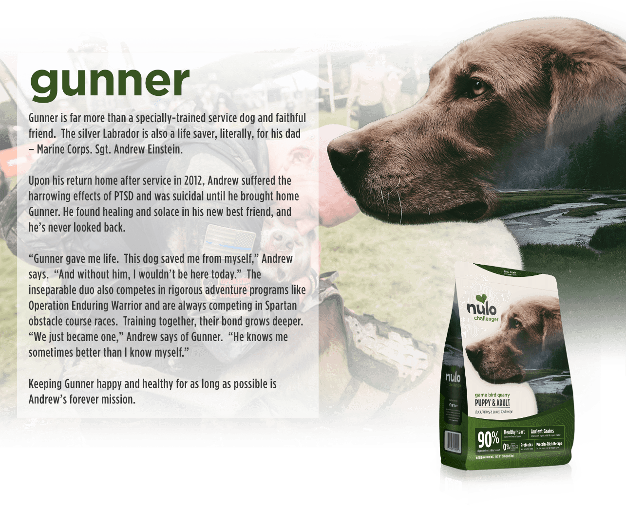 Challenger Nulo Pet Food Healthier Together