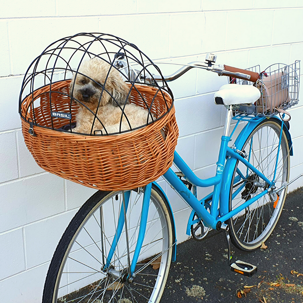 basil pluto bike basket