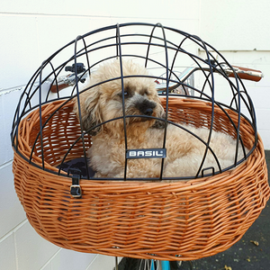 basil pluto bike basket