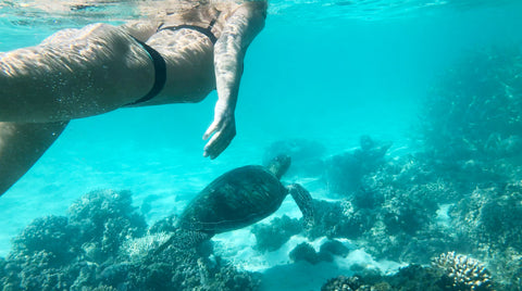 Australian sustainable swimwear worn while swimming with a turtle