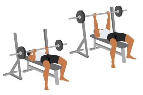 How to do a bench press