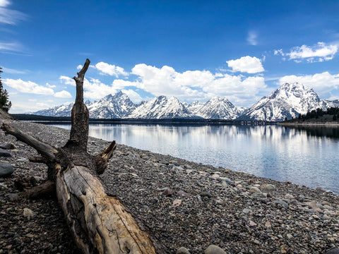 Jackson Hole, Wyoming.