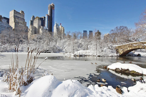 New York City Central Park in the winter.