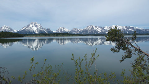 Yellowstone National Park.