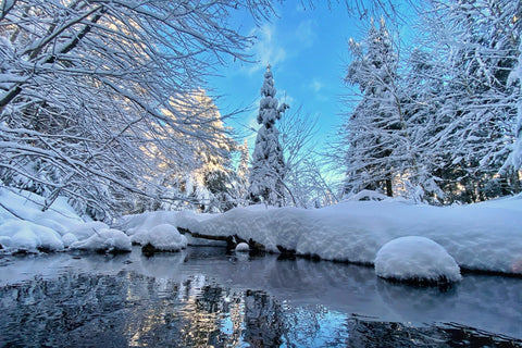 Algonquin Provincial Park.