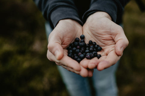 Person holding blueberries in their hands.