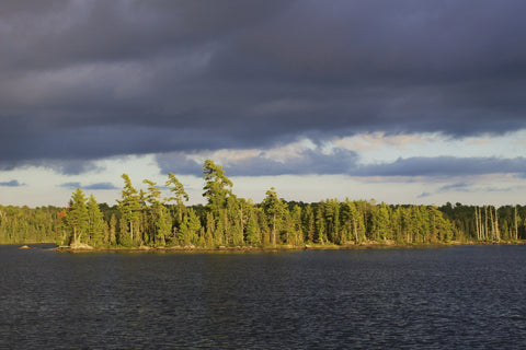 Lake shoreline view from Boundary Waters in Minnesota.