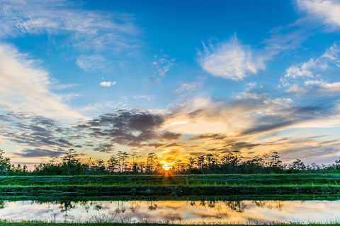 Everglades National Park.