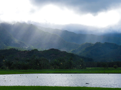 Hanalei River in Kauai, Hawaii with Mount Wai'ale'ale.