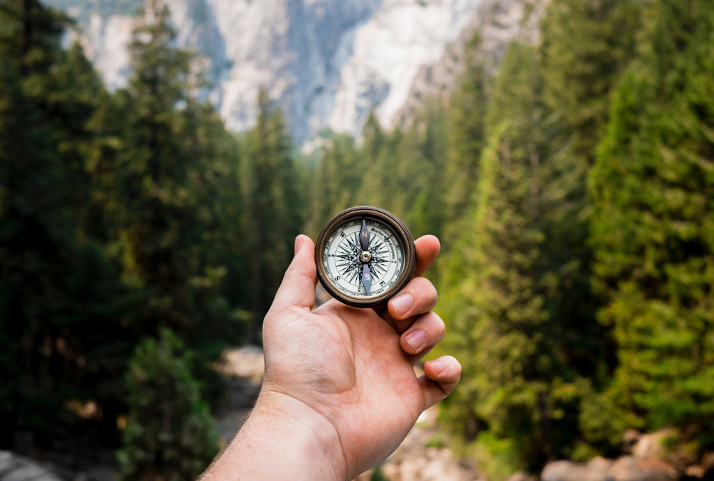 person holding compass out towards forest