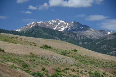 View of mountain peaks & grass valley at Yellowstone in Montana.