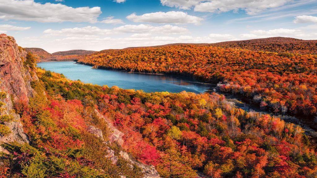 A vast red and orange forest with a blue river running through the middle. 