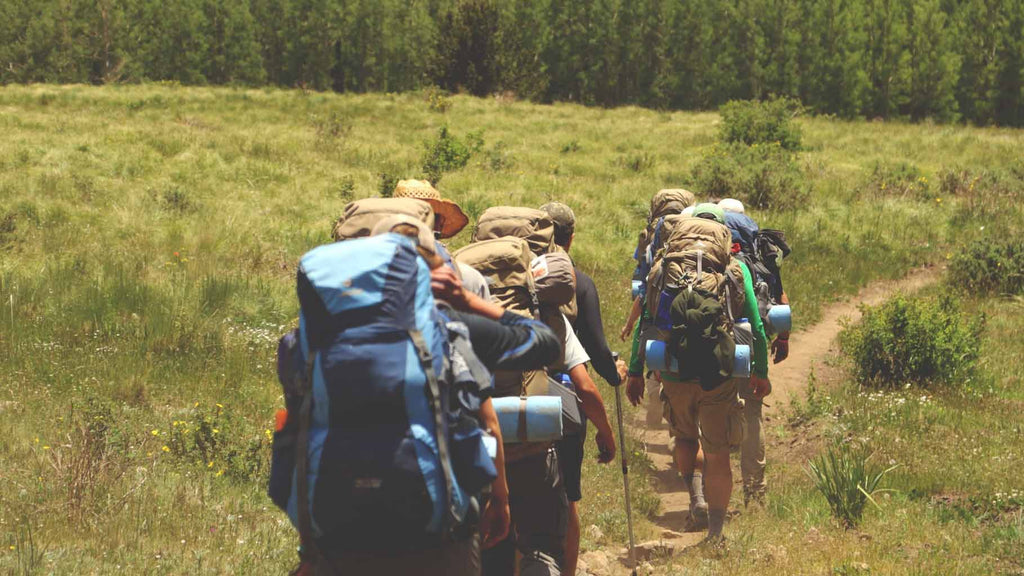 group of people hiking down trail