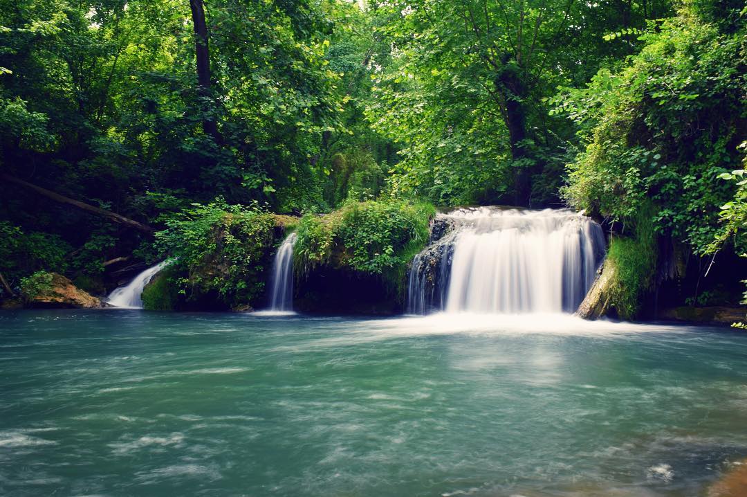 Small waterfall running into lake in green forest