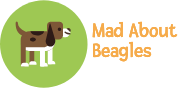 Mad About Beagles