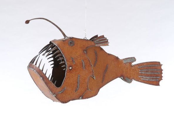 angler fish for sale