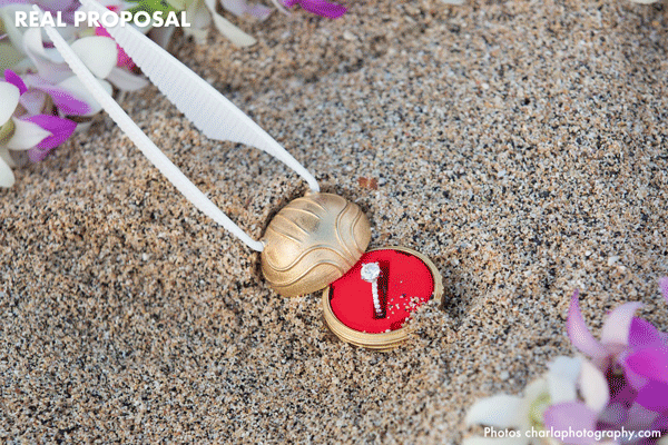 Coral Snitch Geek Ring Box Real Proposal - Charla Photography
