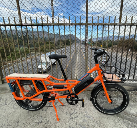 The RadWagon 4 from Rad Power Bikes 