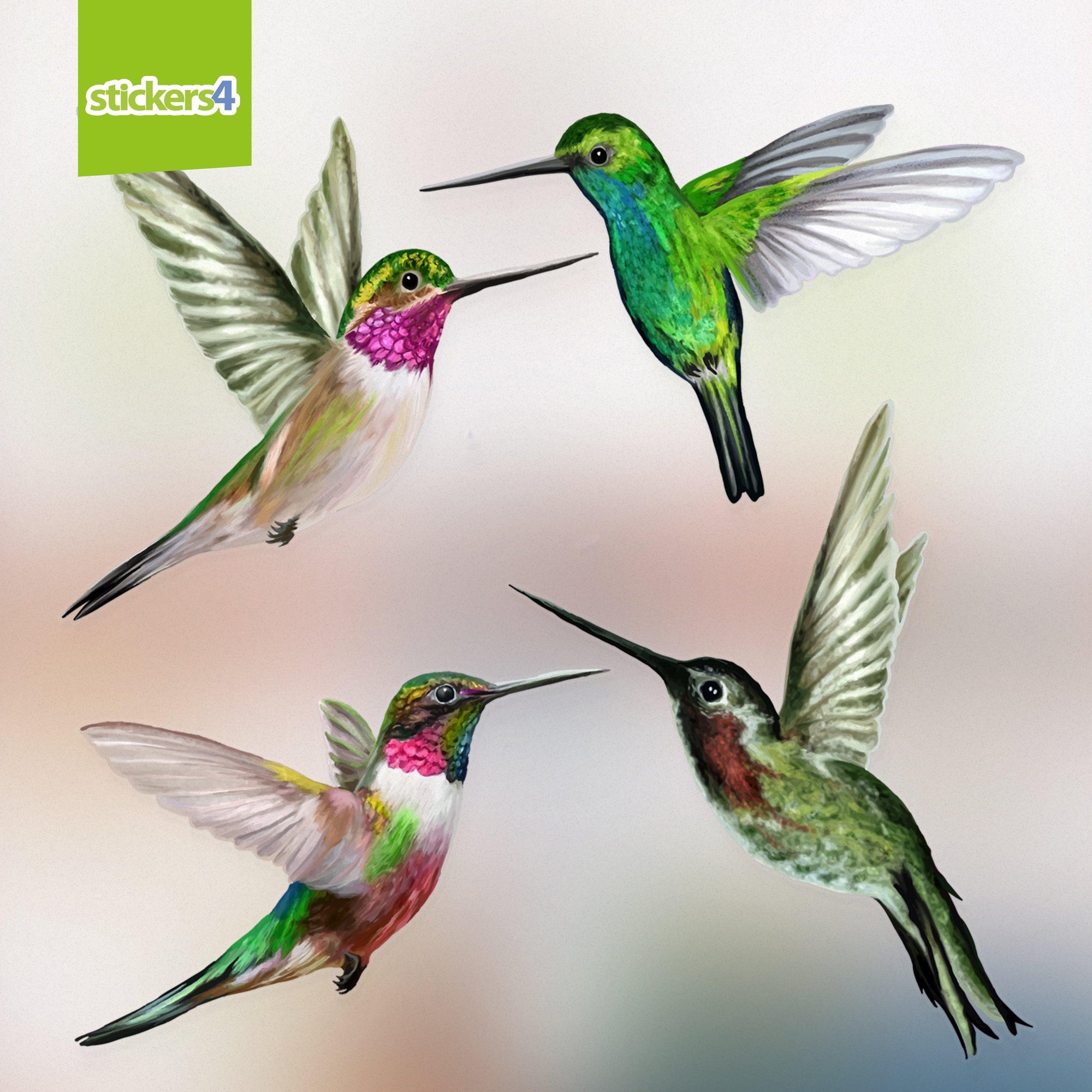 12 Hummingbird Window Clings Non Adhesive Vinyl Stickers Beautiful