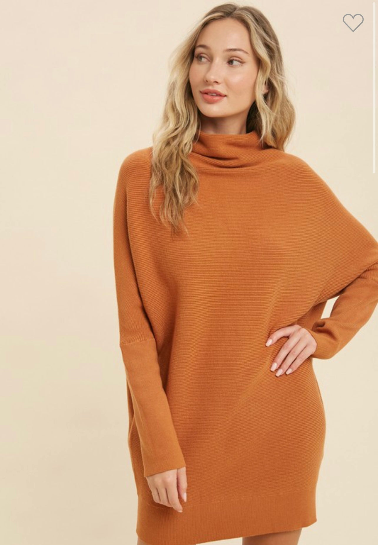Camel Tunic Sweater Dress