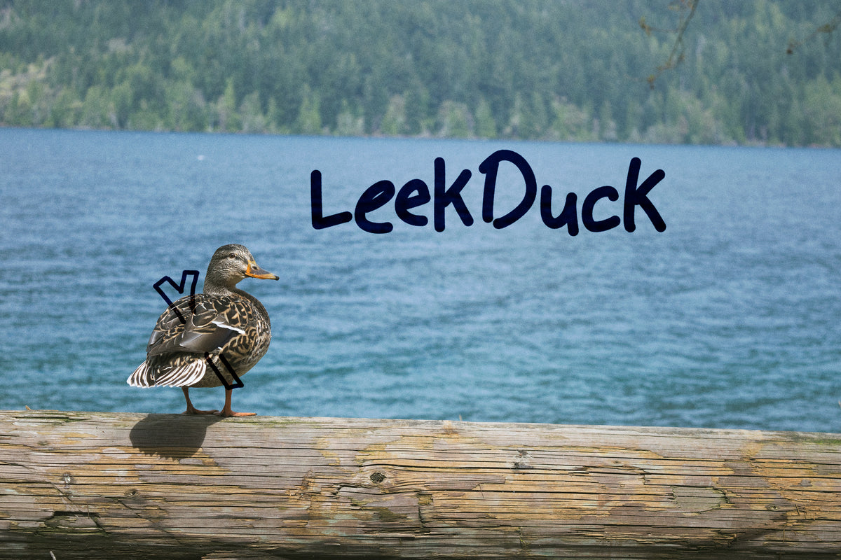 Leek Duck