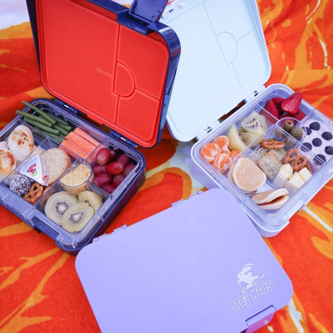 Why Get Yourself a Bento Lunch Box: 5 Benefits to Enjoy - Ecococoon ™