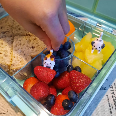 Kids Lunchbox Fun Ideas Dogs and Cats Food Picks