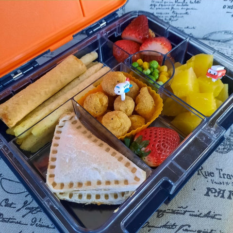 Kids Lunchbox with compartments