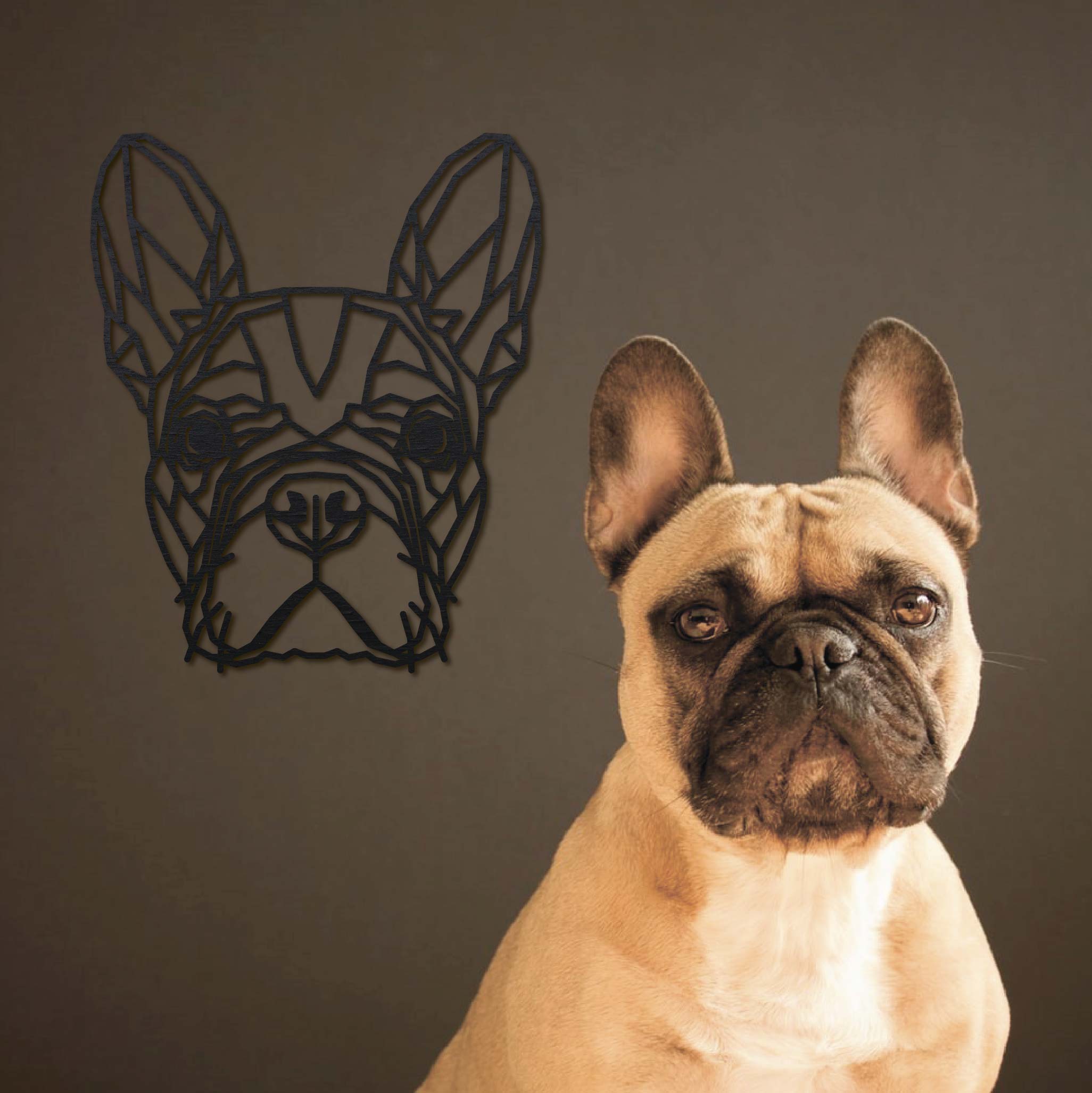 eb Terminologie In de naam Wanddecoratie Hout Honden | Franse Bulldog Geometrische vormen & dieren –  DIDhome