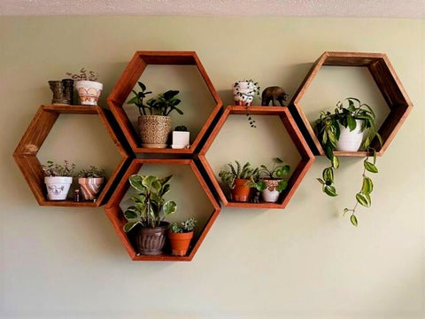 wall plant shelves