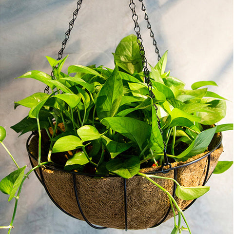 Coir hanging basket