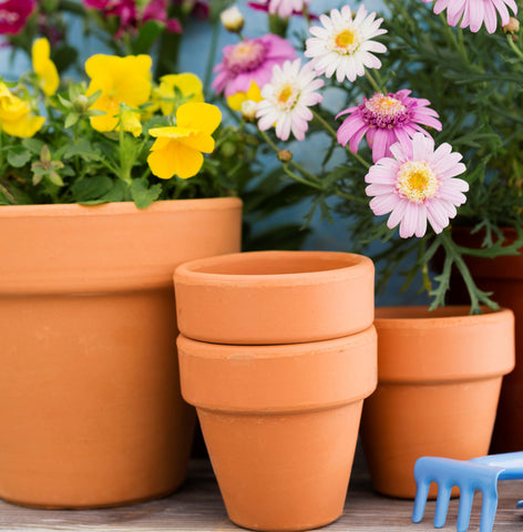 Garden Pots for Plants