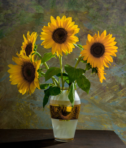 Best Sunflower