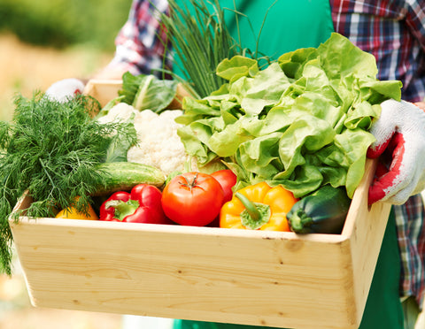 Benefits Of Growing Vegetables Organically