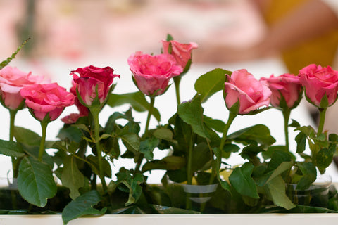 Types Of Rose Gardening In India