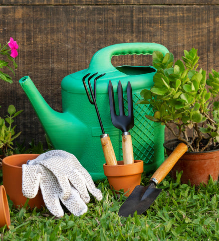 Top 10 Garden Tools to Make Your Garden More Productive – Plantlane