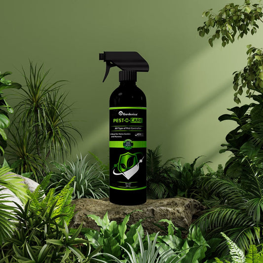 Protect Your Garden with Natural Pesticides and Insect Traps from Plantlane