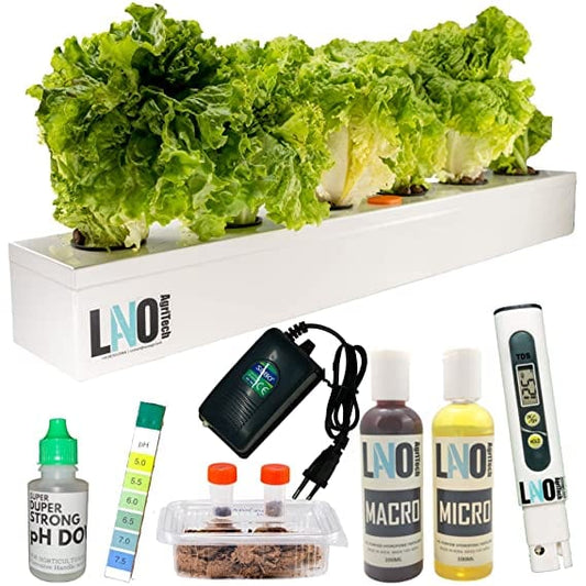 Choosing the Best Hydroponic Kit for Your Home