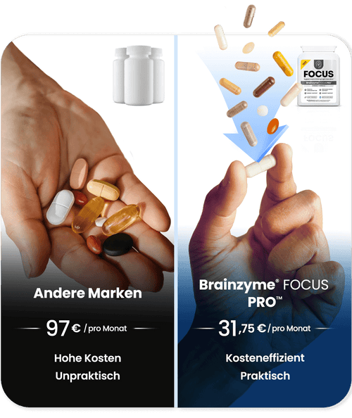 Graphic_Bz_Value_V4_Pro_DE.png__PID:0cf00e15-0c76-459f-9e15-ca5f43a986c5