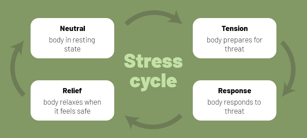 Stages of the stress cycle - neutral, tension, response, relief